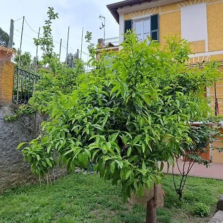 Affittacamere Antonella-3